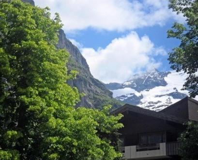 Pfaffenstoeckli Apartment Grindelwald Cameră foto