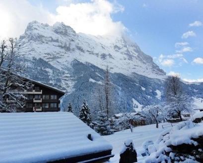 Pfaffenstoeckli Apartment Grindelwald Cameră foto
