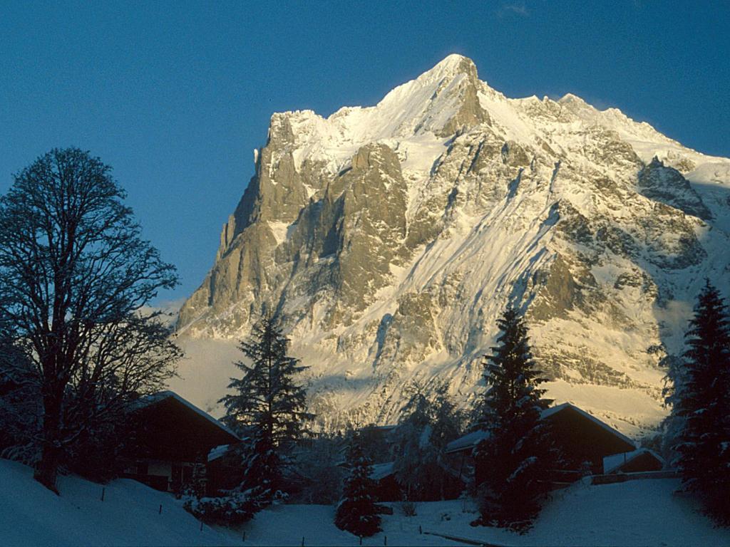 Pfaffenstoeckli Apartment Grindelwald Exterior foto
